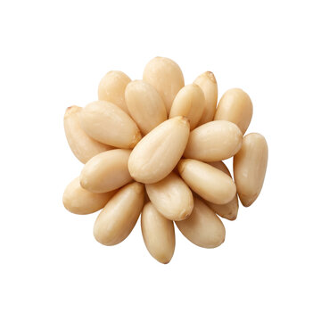 Top view cluster of raw pine nut kernels isolated with creamy colored on transparent background