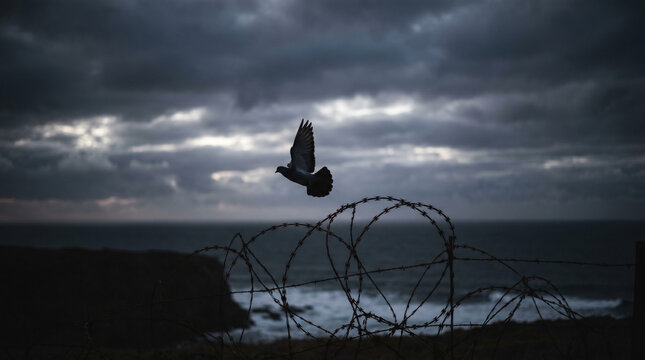 A dramatic black and white silhouette of a pigeon flying over coiled razor wire on a rocky ocean cliff under a dark cloudy sky, symbolizing peace.