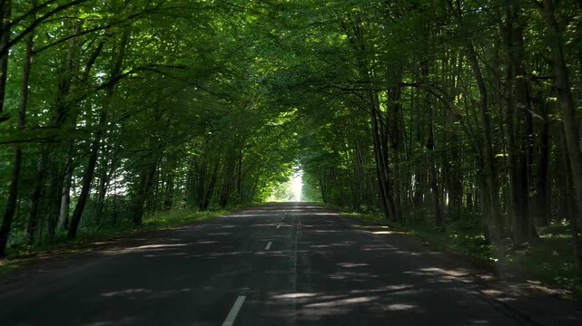 Scenic forward motion on rural asphalt road passing through natural tunnel of dense green trees. Sunlight peeks through the foliage, creating shadows on the beautiful summer journey