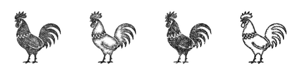 Black and white sketch rooster icon design set © David Zydd