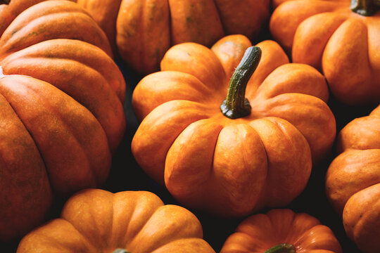 Top-down close-up of a group of orange pumpkins filling the frame. Bright fall scene ideal for Halloween decor, seasonal harvest, and festive autumn mood