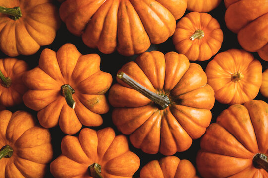 Top-down close-up of a group of orange pumpkins filling the frame. Bright fall scene ideal for Halloween decor, seasonal harvest, and festive autumn mood