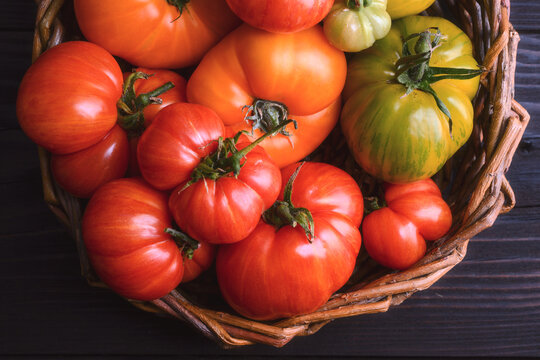 Overhead view of mixed heirloom tomatoes in wicker basket. Seasonal organic harvest, rustic kitchen mood