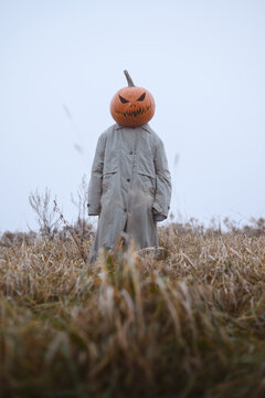 Halloween scarecrow with a carved pumpkin head standing alone in a field of dry grass. Spooky seasonal concept with foggy background and haunting countryside atmosphere