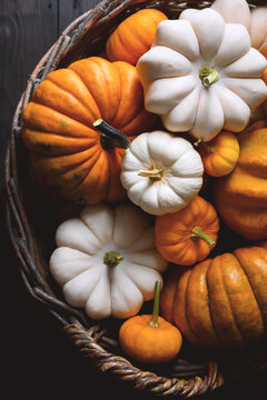 Close-up of wicker basket full of orange pumpkins in various sizes for fall harvest. Seasonal holiday background perfect for Thanksgiving or Halloween decor