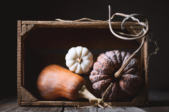Autumn composition with three different pumpkins on wooden table on dark background close up. Food photography