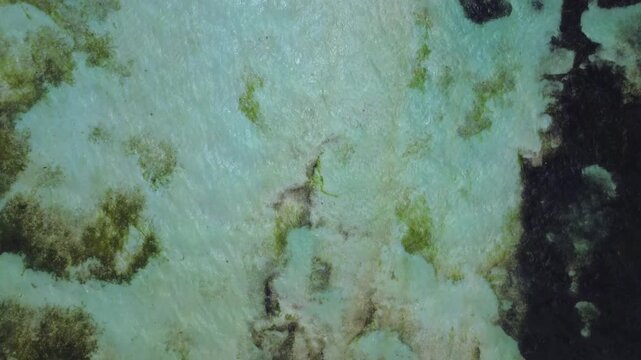 Aerial drone shot capturing a bird's-eye perspective of a rugged coastline in Mauritius. The right side features a patch of pristine white sand beach covered in fractured, dark black volcanic lava roc