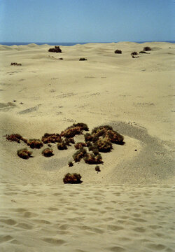 Die D&uuml;nen von Maspalomas