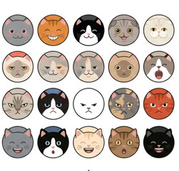 Fototapeta premium A charming collection of cute cat avatars featuring various breeds and expressive faces in round icons. Perfect for profile pictures, stickers, merchandise, and digital design projects.