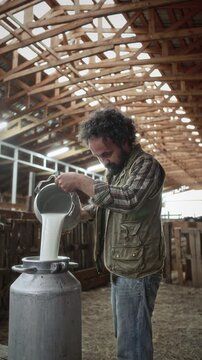 Bearded farmer pouring fresh organic milk into large aluminum can inside rustic dairy barn with caw in cattle pen in background. Vertical shot