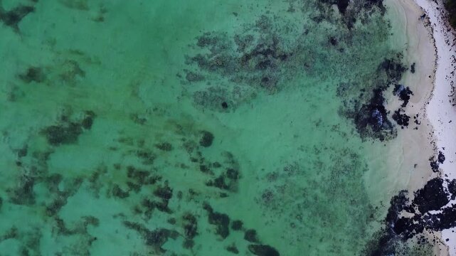 Aerial drone shot capturing a bird's-eye perspective of a rugged coastline in Mauritius. The right side features a patch of pristine white sand beach covered in fractured, dark black volcanic lava roc
