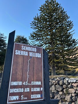 Sendero 