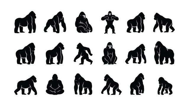 Evolution illustration of human-like primates walking