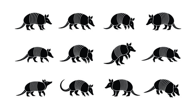 Black and white armadillo illustration collection