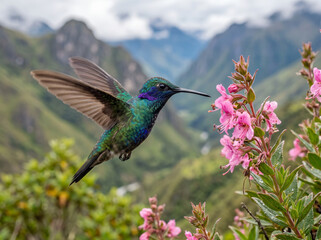Obraz premium Hummingbird hovering near pink flowers with mountain landscape in background