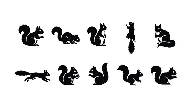 Black silhouette squirrels in various poses