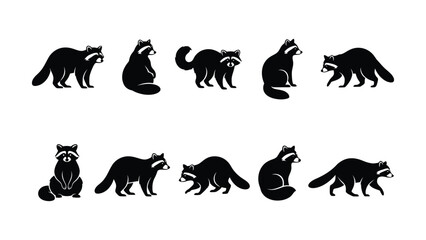 Black raccoon vector icons in different poses © MdSaiful