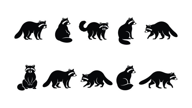 Black raccoon vector icons in different poses