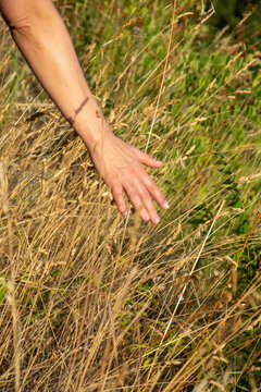 mano di donna chr accarezza l'erba