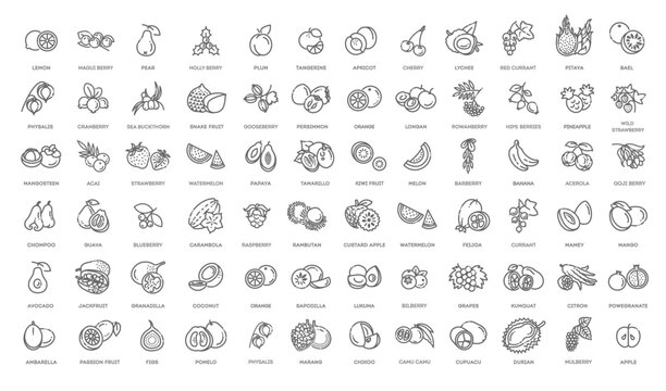 Fruits and berries vector icons