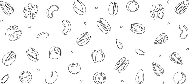 Seamless One Line Pattern of Assorted Nuts and Seeds Vector Background Illustration. One line art icon drawing