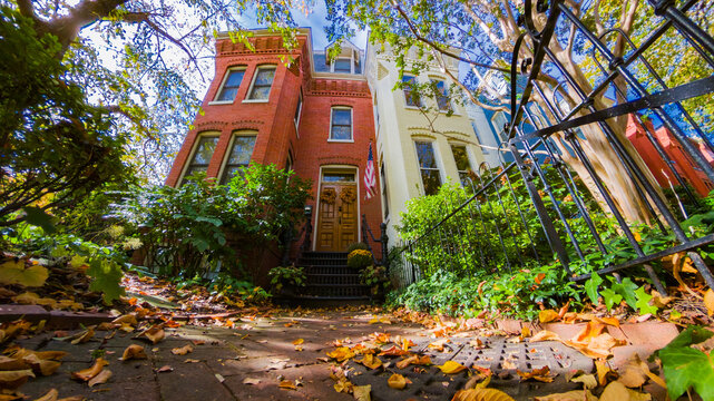 Traditional Georgetown row house with autumn leaves and dramatic upward perspective in Washington DC neighborhood