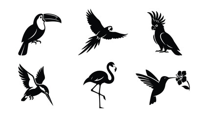 Fototapeta premium Black and white tropical birds illustration