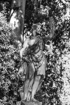 Marble sculpture with plants and trees in Boboli Gardens, Florence