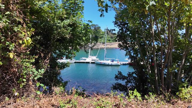 DOUARNENEZ, FRANCE &ndash; July 4, 2026: Harbor View Framed by Trees in Douarnenez, Brittany, France