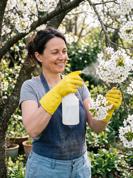 A smiling woman wearing rubber gloves uses a spray bottle to water and care for blossoming plants in her home garden on a sunny day.