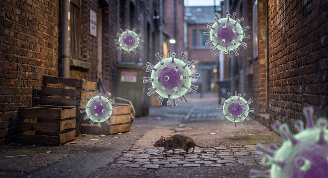 Giant virus models float in narrow dim alleyway where rats scavenge near wooden crates and brick walls