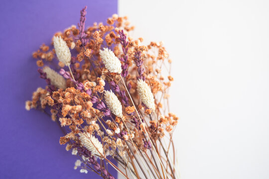 Dried flower bouquet showing autumn colors and delicate floral arrangement