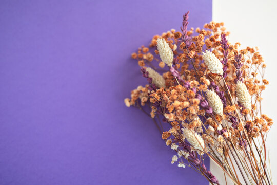 Dried lavender, lagurus ovatus, and gypsophila forming a natural bouquet