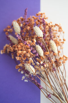 Dried flowers bouquet with lavender and baby's breath against purple white background