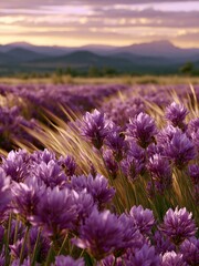 Fototapeta premium Lavender Waves Sway in the Warm Summer Breeze of a Scenic View