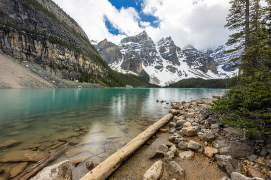 Fallen Log on the Shoreline of Moraine Lake, Banff National Park