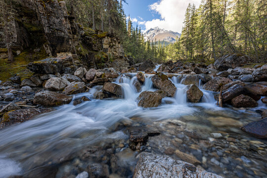 Boulder Creek Rapids at Miette Hot Springs, Jasper National Park