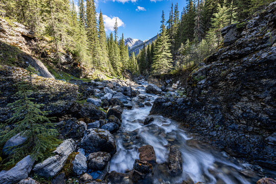 Rocky Mountain Stream Cascading Through the Forest, Miette Hot Springs