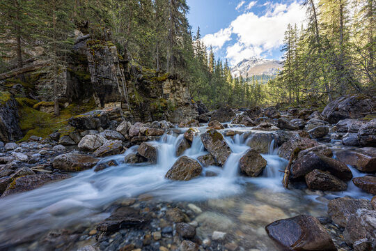 Cascading Creek Near Miette Hot Springs, Jasper National Park