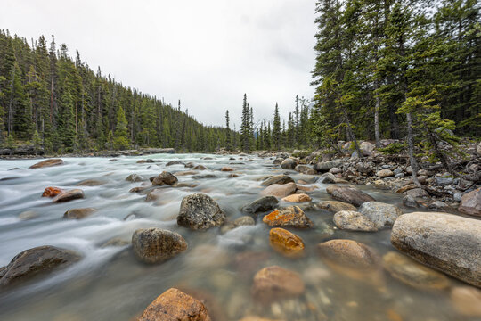 Boulder-Strewn Riverbed of Mistaya Canyon