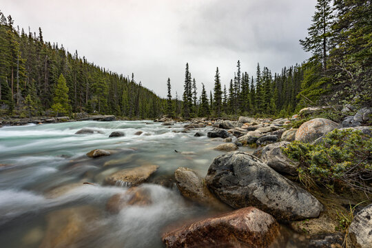 Overcast Morning at Mistaya Canyon Rapids, Icefields Parkway