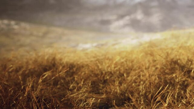 Golden grass moves gently in the wind during late afternoon. The background shows a distant landscape under warm sunlight. Nature fills the scene with colors and textures that catch the eye.