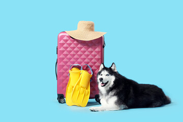 Siberian husky dog with blue eyes lying next to a pink suitcase straw hat and yellow flippers travel and vacation, this image travel vacation and holiday concepts a fun getaway or adventure © Pixel-Shot