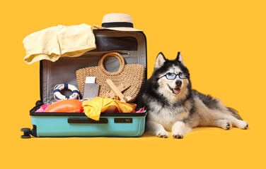 Siberian husky dog wearing glasses lying next to an open suitcase packed with summer vacation travel items © Pixel-Shot