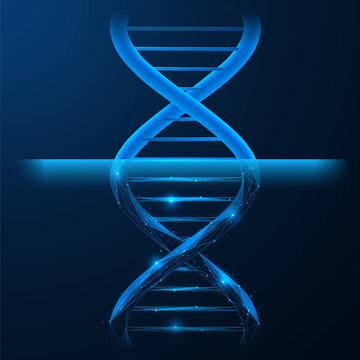 The process of digital scanning of a DNA molecule. The upper part shows a realistic double helix, and the lower part shows a digital model of it. The concept of molecular diagnostics.