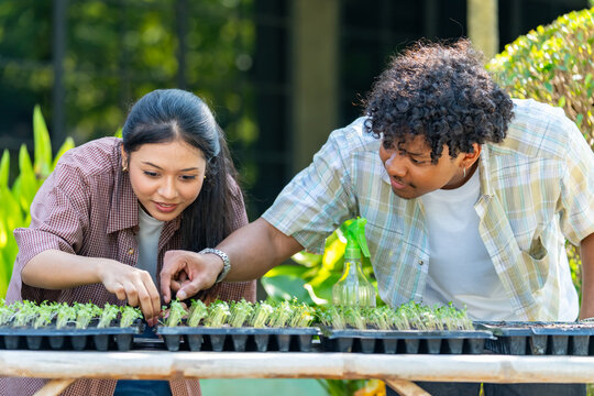 Young smart farmers caring and inspecting vegetables plant seedling in agriculture farm. Teamwork student learn sustainable agriculture, organic farming, urban gardening and food production