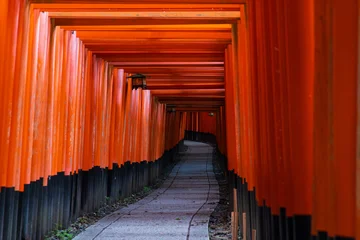 Fototapete Torii Tore 日本の風景・夏　京都　伏見稲荷大社　千本鳥居  © Yuta1127