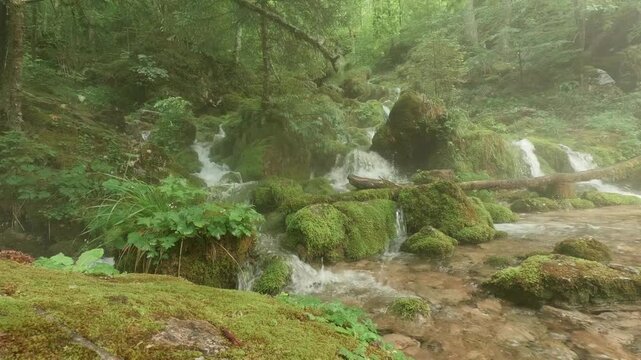 Kamni&scaron;ka Bistrica river, Kamnik, Slovenia