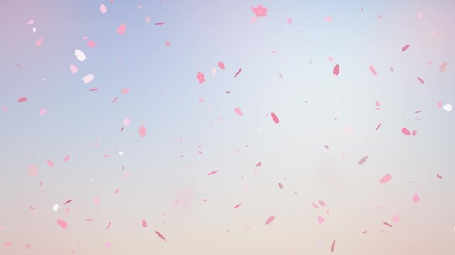 Soft pink cherry blossom petals drifting down a spring sky seamless loop in deep pink tones