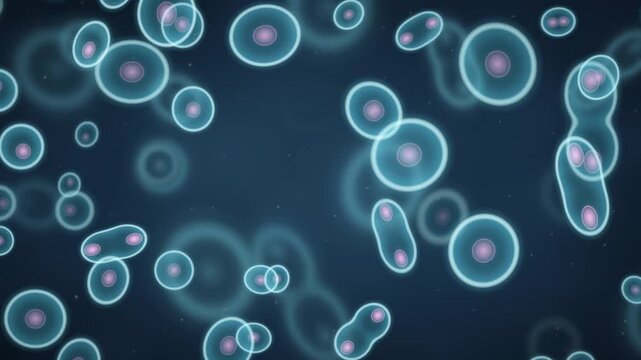Cell Division Mitosis Microscope Biology Science Motion Background Seamless Loop in bright cyan tones